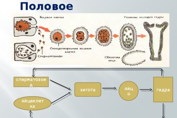 Официальная ссылка на кракен в тор