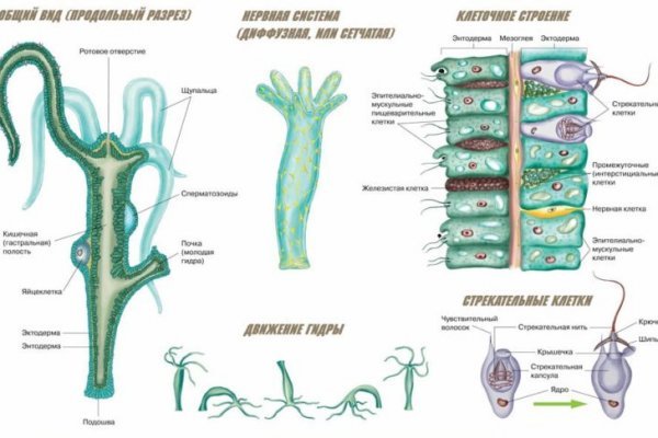 Сайт kraken в tor