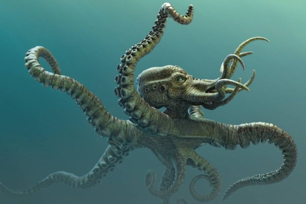 Kraken online