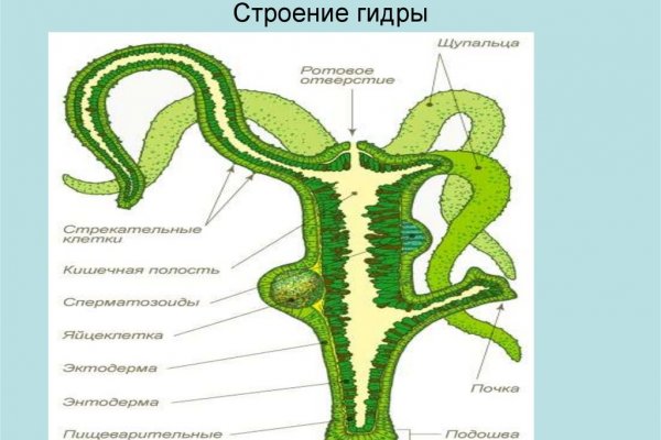 Кракен гидра даркнет