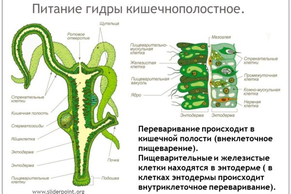 Кракен торговая площадка даркнет