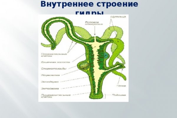 Актуальная ссылка на кракен kraken